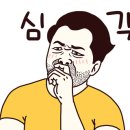성산마을 동백하우스토리 이미지