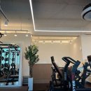 트래몬트짐 PT 이미지