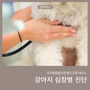 마곡M동물의료센터 이미지