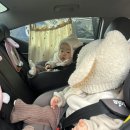 키즈사랑 태권도 | 대구북구:) 12개월 아기랑 버기버기 키즈룸 방문후기(내돈내산)