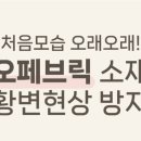 지우미 이미지