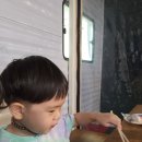 제주캠핑추천 애월캠핑장 쉼과 휴식있는 숲속 숙소 <휴림 >