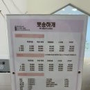 뽀송하개 애견미용 이미지