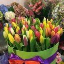 참빛목장 이미지