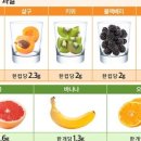 과일이닭 네이버블로그