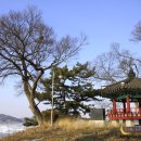 웅포활성화센터 | 봄꽃, 벚꽃 및 농촌마을, 익산시 문화관광 홍보 팸투어 [4월10~11일]