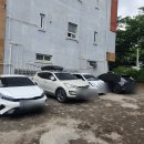 광주순대 이미지