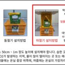 수정벌마야 이미지