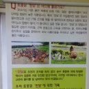 [군산시/성산면] 거시기 삼계탕 이미지