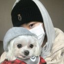 민우C&O 이미지
