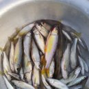 정희농박 이미지