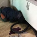 죽교천로 이미지