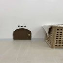 튼튼애견미용 이미지