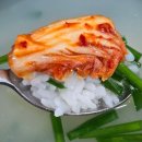 섬진강재첩과진부령황태 이미지