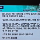영화 란12.3 이미지