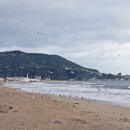 월포보건진료소 이미지