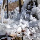 사랑이 있는 어린이 동산 이미지