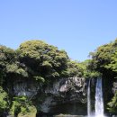 천지연 폭포 이미지