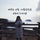 버스정류장 07-767 | 제주도 12월 가볼만한곳 A부터 Z까지!