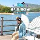 제7구경길 송지호둘레길 | 강원 고성 여행 송지호 둘레길 관망타워 볼거리 자전거 무료 대여 주차장