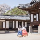 얼라우 이미지
