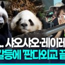 판다 연합뉴스