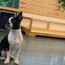 개릉도원 네이버블로그