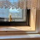 슬기로운 우도생활 이미지