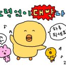 YM hair(와이엠헤어)
