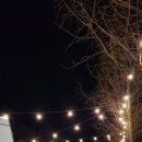 피노키오관광농원 이미지