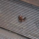 무주농장 이미지