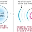 비엔나안경 이미지