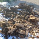 장흥비동돌담 이미지