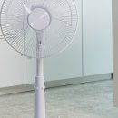 파세코인테리어