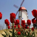 대부바다향기 테마파크 이미지