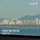 모하경로당 | 26.4월 여수/순천 여행_목향장미 만개한 여수 핫플 카페 주말 오픈런하기