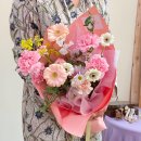 사파동207 이미지