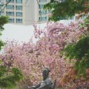 주정차단속-134 이미지