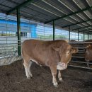 미혜농장 이미지