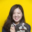 펫트너
