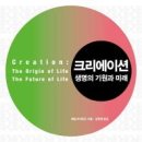 크리에이션