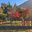 한밭의료기 이미지