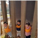 명성어린이집 이미지