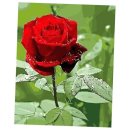 유화그리기 이미지