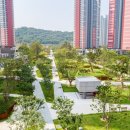 유니메디칼 이미지