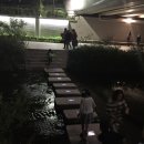 방축천8 어진4교 | 레이져쇼가 추가된 세종시 음악분수 방축천 분수쇼 시간과 장소 담당연락처 알려드려요