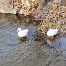 증도 관광안내소 이미지