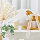 Amimong(아미몽) 이미지