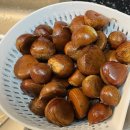 석산농장 | 해방과 구속의 삼박사일(감사 216)