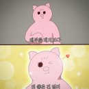 황금돈가